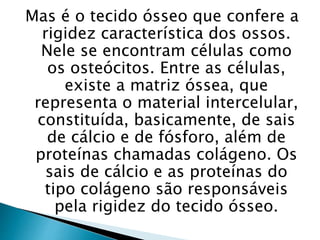 Mas é o tecido ósseo que confere a
rigidez característica dos ossos.
Nele se encontram células como
os osteócitos. Entre as células,
existe a matriz óssea, que
representa o material intercelular,
constituída, basicamente, de sais
de cálcio e de fósforo, além de
proteínas chamadas colágeno. Os
sais de cálcio e as proteínas do
tipo colágeno são responsáveis
pela rigidez do tecido ósseo.
 
