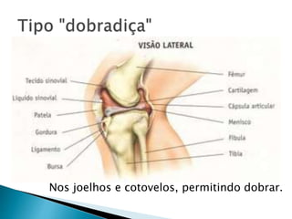 Nos joelhos e cotovelos, permitindo dobrar.
 