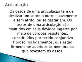 Os ossos de uma articulação têm de
deslizar um sobre o outro suavemente
e sem atrito, ou se gastariam. Os
ossos de uma articulação são
mantidos em seus devidos lugares por
meio de cordões resistentes,
constituídos por tecido conjuntivo
fibroso: os ligamentos, que estão
firmemente aderidos às membranas
que revestem os ossos.
 