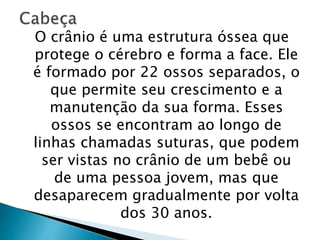 O crânio é uma estrutura óssea que
protege o cérebro e forma a face. Ele
é formado por 22 ossos separados, o
que permite seu crescimento e a
manutenção da sua forma. Esses
ossos se encontram ao longo de
linhas chamadas suturas, que podem
ser vistas no crânio de um bebê ou
de uma pessoa jovem, mas que
desaparecem gradualmente por volta
dos 30 anos.
 