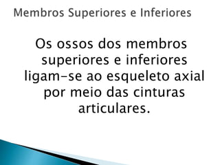Os ossos dos membros
superiores e inferiores
ligam-se ao esqueleto axial
por meio das cinturas
articulares.
 