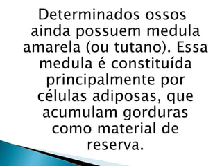 Determinados ossos
ainda possuem medula
amarela (ou tutano). Essa
medula é constituída
principalmente por
células adiposas, que
acumulam gorduras
como material de
reserva.
 