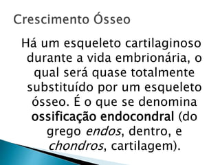Há um esqueleto cartilaginoso
durante a vida embrionária, o
qual será quase totalmente
substituído por um esqueleto
ósseo. É o que se denomina
ossificação endocondral (do
grego endos, dentro, e
chondros, cartilagem).
 