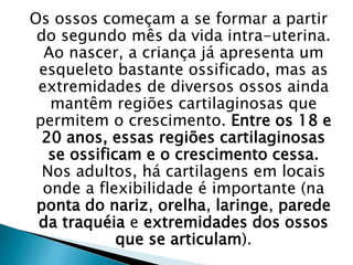 Os ossos começam a se formar a partir
do segundo mês da vida intra-uterina.
Ao nascer, a criança já apresenta um
esqueleto bastante ossificado, mas as
extremidades de diversos ossos ainda
mantêm regiões cartilaginosas que
permitem o crescimento. Entre os 18 e
20 anos, essas regiões cartilaginosas
se ossificam e o crescimento cessa.
Nos adultos, há cartilagens em locais
onde a flexibilidade é importante (na
ponta do nariz, orelha, laringe, parede
da traquéia e extremidades dos ossos
que se articulam).
 