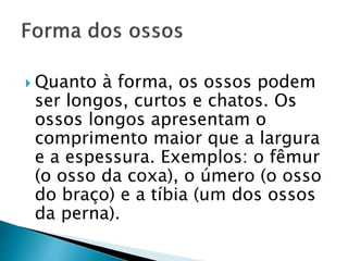  Quanto à forma, os ossos podem
ser longos, curtos e chatos. Os
ossos longos apresentam o
comprimento maior que a largura
e a espessura. Exemplos: o fêmur
(o osso da coxa), o úmero (o osso
do braço) e a tíbia (um dos ossos
da perna).
 