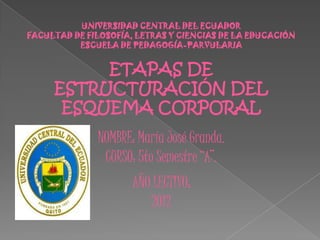 UNIVERSIDAD CENTRAL DEL ECUADOR
FACULTAD DE FILOSOFÍA, LETRAS Y CIENCIAS DE LA EDUCACIÓN
          ESCUELA DE PEDAGOGÍA-PARVULARIA


          ETAPAS DE
     ESTRUCTURACIÓN DEL
      ESQUEMA CORPORAL
              NOMBRE: María José Granda.
               CURSO: 5to Semestre “A”.
                     AÑO LECTIVO:
                        2012
 