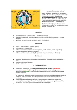 Como são formados os tecidos?
Todos os tecidos presentes nos vertebrados
adultos são formados a partir de três tipos de
folhetos germinativos: endoderma,
ectoderma e mesoderma. Cada um desses,
durante o desenvolvimento embrionário, é
responsável por uma genealogia de células
especializadas quanto à forma e função.
Os destinos finais (organogênese) desses
folhetos germinativos, na formação dos tecidos
e órgão humanos, são:
Ectoderma
 Epiderme e anexos cutâneos (pêlos e glândulas mucosas);
 Todas as estruturas do sistema nervoso (encéfalo, nervos, gânglios nervosos e medula
espinhal);
 Epitélio de revestimento das cavidades nasais, bucal e anal.
Mesoderma
 Forma a camada interna da pele (derme);
 Músculos lisos e esqueléticos;
 Sistema circulatório (coração, vasos sangüíneos, tecido linfático, tecido conjuntivo);
 Sistema esquelético (ossos e cartilagem);
 Sistema excretor e reprodutor (órgãos genitais, rins, uretra, bexiga e gônadas).
Endoderma
 Epitélio de revestimento e glândulas do trato digestivo, com exceção da cavidade oral e
anal;
 Sistema respiratório (pulmão);
 Fígado e pâncreas.
 Tipos de Tecidos

 Nos animais vertebrados há quatro grandes grupos de tecidos: o muscular, o
nervoso, o conjuntivo (abrangendo também os tecidos ósseo, cartilaginoso e
sanguíneo) e o epitelial, constituindo subtipos específicos que irão formar os órgãos e
sistemas corporais.
Por exemplo: O sangue é considerado um tecido conjuntivo, com diversificadas células (as
hemácias, os leucócitos e as plaquetas) e o plasma (água, sais minerais e diversas
proteínas).
 Nos invertebrados estes tipos de tecido são basicamente os mesmos, porém com
organizações mais simples. A maioria dos tecidos além de serem compostos de células,
apresentam entre elas substâncias intracelulares (intersticiais).

 