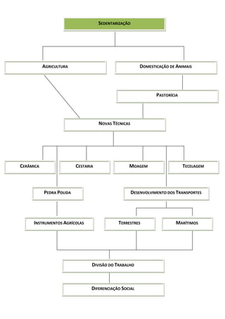 SEDENTARIZAÇÃO
AGRICULTURA DOMESTICAÇÃO DE ANIMAIS
PASTORÍCIA
NOVAS TÉCNICAS
CERÂMICA CESTARIA MOAGEM TECELAGEM
PEDRA POLIDA DESENVOLVIMENTO DOS TRANSPORTES
INSTRUMENTOS AGRÍCOLAS TERRESTRES MARÍTIMOS
DIVISÃO DO TRABALHO
DIFERENCIAÇÃO SOCIAL