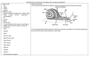 ROTEIRO DE AULA PRÁTICA: FILO MOLLUSCA CLASSE GASTROPODA
1. Classificação                                      Desenho esquemático
• Filo:                                               1. Do corpo do animal indicando as regiões do corpo com suas estruturas principais (vista lateral).
• Classe:
• Ordem:
• Espécie:
2. Regiões do corpo
• Cabeça (tentáculos, gonóporo boca, rádula e olhos)
• Massa        visceral (orifício    respiratório   –
     pneumostômio)
• Pé
• Concha
3. Concha
• Nº de valvas
• Tipo de enrolamento (dextrógiro ou sinistrógiro)
• Regiões (dorsal, ventral, anterior e posterior)
• Estruturas:
     Ápice                                            2. Da concha gastropoda aquática (marinha e dulcícola), indicando suas regiões e estruturas principais (ápice
     Suturas                                          para cima e abertura da concha voltada p/ o observador).

   Espira

   Volta do corpo

   Abertura da concha

   Lábio externo

   Lábio interno

   Canal sifonal

   Opérculo

   Columela

   Umbílico

   Ornamentação (ancoragem)
 