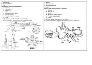 4. Hábito de vida                                                    3. Hábitat:
5. Hábitos alimentares:                                              4. Hábito de vida
6. Corpo                                                             5. Hábitos alimentares:
Porção: dorsal, ventral, anterior e posterior;
                                                                     6. Corpo
     •   Cabeça
                                                                     Porção: dorsal, ventral, anterior e posterior;
     •   Tentáculos - nº
     •   Braços - nº                                                     • Cabeça
     •   Olhos                                                           • Braços - nº
     •   Boca: bico córneo e rádula                                      • Olhos
     •   Colarinho (pescoço)                                             • Boca: bico córneo e rádula
     •   Tronco – nadadeira triangular                                   • Tronco – massa visceral
     •   Sifão                                                           • Sifão
7. Particularidades: tamanho, coloração (cromatóforos)               7. Particularidades: bolsa de tinta e hectocótilo
8. Desenho esquemático da lula indicando suas regiões e estruturas
                                                                     8. Desenho esquemático de polvo indicando suas regiões e estruturas
 
