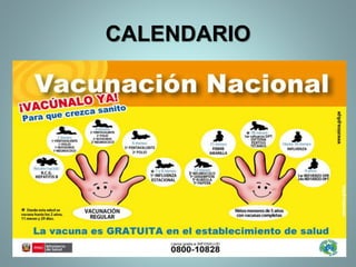 CALENDARIO
 