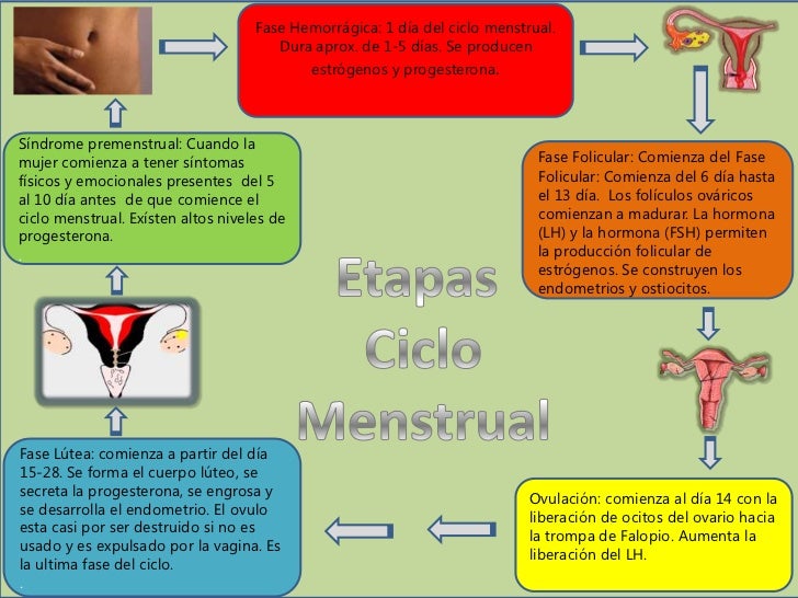 Engrosamiento del endometrio es peligroso