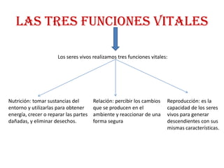 Las tres funciones vitales

                      Los seres vivos realizamos tres funciones vitales:




Nutrición: tomar sustancias del        Relación: percibir los cambios   Reproducción: es la
entorno y utilizarlas para obtener     que se producen en el            capacidad de los seres
energía, crecer o reparar las partes   ambiente y reaccionar de una     vivos para generar
dañadas, y eliminar desechos.          forma segura                     descendientes con sus
                                                                        mismas características.
 