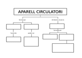 APARELL CIRCULATORI
format per Al interior circula la
funció de poden ser
formada per
 