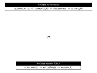 OU HIPÓTESE AUTOTRÓFICA QUIMIOSSÍNTESE  =>  FERMENTAÇÃO  =>  FOTOSSÍNTESE  =>  RESPIRAÇÃO HIPÓTESE HETEROTRÓFICA FERMENTAÇÃO  =>  FOTOSSÍNTESE  =>  RESPIRAÇÃO 