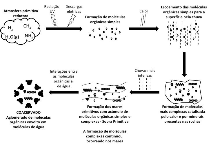 Esquema coacervados