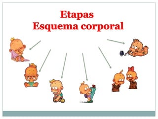 Etapas Esquema corporal