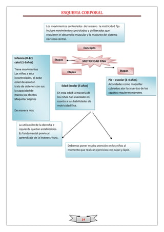 ESQUEMA CORPORAL

                           Los movimientos controlados de la mano la motricidad fija
                           incluye movimientos controlados y deliberados que
                           requieren el desarrollo muscular y la madurez del sistema
                           nervioso central.

                                                       Concepto


Infancia (0-12)
                                 Etapas                MOTRICIDAD FINA
catol (1-3años)

Tiene movimientos                                                                      Etapas
                                           Etapas
Los niños a esta
incontrolados, el bebe
                                                                           Pie – escolar (3-4 años)
edad desarrollan
                                                                           Actividades como maquillar
trata de obtener con sus              Edad Escolar (5 años)
                                                                           cubiertos atar las cuerdas de los
la capacidad de
                                   En esta edad la mayoría de              zapatos requieren mayores
manos los objetos
                                   los niños han avanzado en               habilidades.
Maquillar objetos
                                   cuanto a sus habilidades de
                                   motricidad fina.
De manera más


Compleja.
  La utilización de la derecha e
  izquierda quedan establecidos.
  Es fundamental previo al
  aprendizaje de la lectoescritura.

                                           Debemos poner mucha atención en los niños al
                                           momento que realizan ejercicios con papel y lápiz.




                                                      14
 