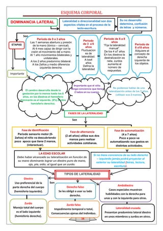ESQUEMA CORPORAL
                                           Lateralidad o direccionalidad son dos             Su no desarrollo
DOMINANCIA LATERAL                                                                           determina, confusión
                                            aspectos vitales en el proceso de la
                                                      lecto-escritura.                       de letras y números.


          Son
                      Periodo de 0 a 3 años                                    Periodo de 6 a 8
                                                             Periodo                   años
                Las 1 semanas abertura y presión
ETAPAS                                                       de 3 a 6          “Fija la lateralidad       Periodo de
                  de la mano (tónico – cervical).
                                                               años                  manual”.             8 a10 años
                  Al 4 mes capaz de dirigir con la
                                                           Fluctuacion          De los 4 a7 años          Adquiere el
                 visión el movimiento del a mano.
                                                               es de           En los diestros la        concepto de
                Al 1 año movimientos bilaterales y
                                                           lateralidad.         destralización es           derecha
                            unilaterales.
                                                              A los4              neta, zurdos           izquierda de
                A los 2 años predominio bilateral.
                                                               años                aumenta el             los objetos.
                  A los 2años y medio diferencia
                                                             Define la              número de
                        izquierda derecha.
                                                            lateralidad            respuestas.
Importante


                                                    Importante que el niño
                                                  tenga conciencia que tiene           No podemos hablar de una
           El cerebro desarrolla desde la                                          lateralización antes de los 3 años,
                                                     2 lados en su cuerpo.
         gestación por lo menos hasta los 8                                              (utilizan sus 2 manos).
         años, en los diestros el hemisferio
       dominante es el izquierdo, (6%) zurdos
                hemisferio derecho).


                                                FASES DE LA LATERALIDAD

                                                     Son


         Fase de identificación                                                         Fase de automatización
                                                 Fase de alternancia
     Periodo sensorio motor (0-                                                              (4 a 7 años)
                                             (2 a4 años) utiliza sus dos
   2años) el niño va descubriendo                                                          Poco a poco va
                                                 manos para realizar
   poco apoco que tiene 2 manos,                                                    automatizando sus gestos en
                                               actividades cotidianas.
            (interactuar).                                                              distintas actividades.

                     LA EDAD ESCOLAR
                                                                       Si no tiene conciencia de su lado derecho
     Debe haber alcanzado su lateralización en función de
                                                                          – izquierdo jamás podrá proyectar al
     su mano dominante lograr un diestro puro de mano,
                                                                         exterior su lateralidad (letras, lectura,
            ojo, pie, oído; al igual que un zurdo.
                                                                                        escritura).

                                             TIPOS DE LATERALIDAD
          Diestro
   Uso preferencial de la         Son
                                                                                          Ambidiestro
 parte derecha del cuerpo                      Derecho falso
                                        Se les obligó a usar su lado              Casos especiales muestran
  (hemisferio izquierdo).
                                                                                habilidades con la derecha para
                                                 derecho.
                                                                               unas y con la izquierda para otras.
            Zurdo
                                              Zurdo falso
  Manejo total del cuerpo            Impedimento temporal o total,                     Lateralidad cruzada
    es el lado izquierdo                                                       Presentan predominio lateral diestro
                                   Consecuencias ajenas del individuo.
   (hemisferio derecho).                                                       en unos miembros y zurdos en otros.
                                                           16
 