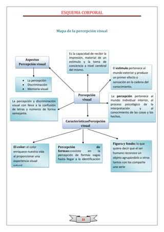 ESQUEMA CORPORAL



                                  Mapa de la percepción visual




                                          Es la capacidad de recibir la
                                          impresión, material de un
        Aspectos
                                          estímulo y la toma de
    Percepción visual                     conciencia a nivel cerebral
                                                                           El estímulo pertenece al
                                          del mismo.
                                                                           mundo exterior y produce
                                                                           un primer efecto o
           La percepción                                                   sensación en la cadena del
           Discriminación
                                                                           conocimiento.
           Memoria visual
                                                 Percepción                La percepción pertenece al
La percepción y discriminación                     visual                 mundo individual interior, al
visual con lleva a la confusión                                           proceso psicológico de la
de letras y números de forma                                              interpretación       y       al
semejante.                                                                conocimiento de las cosas y los
                                                                          hechos.
                                        CaracterísticasPercepción
                                                  visual




                                                                           Figura y fondo: lo que
El color: el color                Percepción                    de         quiere decir que el ser
enriquece nuestra vida            formas:consiste        en      la
                                                                           humano reconoce un
al proporcionar una               percepción de formas vagas
                                  hasta llegar a la identificación         objeto agrupándolo a otros
experiencia visual                                                         tantos con los comparte
                                  de rasgos característicos de las
natural.                                                                   una serie
                                  letras, números y palabras




                                                    22
 