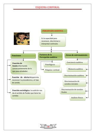 ESQUEMA CORPORAL




                                         PERCEPCIÓN AUDITIVA


                                      Es la capacidad para
                                      reconocer, discriminar e
                                      interpretar estímulos
                                      auditivos asociado dolos a
                                      experiencias previas


Funciones                            Factores de la                  Áreas de entrenamiento
psicobilogicas                       Percepción auditiva


Función de                                                            Conciencia auditiva
                                           Fisiológicos
fondo:informando
consecuentemente de lo                                                 Memoria auditiva
                                           Psíquico- cortical
que pasa alrededor.

                                                                   Discriminación auditiva
Función de alerta:Nospermite
reconocer la procedencia y el tipo
                                                                   Discriminación de
de sonido.
                                                                   sonidos iníciales


Función sociológica: la audición nos                            Discriminación de sonidos
                                                                finales
da el sentido de fluidez que tiene los
sonidos
                                                                           Análisis fónico




                                             25
 
