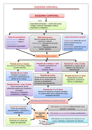 ESQUEMA CORPORAL


                                        ESQUEMA CORPORAL

                                            Es la
                                 Capacidad perceptivo – motriz del cuerpo.
                                 “imagen corporal, lateralidad, actitud,
                                 respiración y relajación.”




  Tipos de perceptivos:                    Motricidad gruesa                    Leyes del esquema corporal
Exteroceptiva: “externo”.             Para el manejo de la lectura,
                                            escritura y cálculo.               Céfalocaudal: desarrollo que se
Interoceptiva: “interno”.
                                    Globalización“percepción de todo”          da de la cabeza hacia las
Propioceptivo:                                                                 extremidades
                                                 (iglesia).
“información transmitida”.
                                     Sincretismo “percepción de las            Proximodistal: desarrollo que se
                                             partes” (iglesia).                da de adentro hacia afuera.



                                          Etapas del esquema corporal



    Periodo de 0 a 3 meses                Periodo de 3 meses a 1 año            Periodo de 1 año a 2 años
Se centra en movimientos “reflejos “.       Posición horizontal a la            Diferencia su cuerpo de los
         (Cuerpo paciente)                         vertical.                      objetos y se inicia en la
                                                (Cuerpo vivido)                        lateralización.
     Periodo de 2 a 3 años
      Empieza a conocer y                       Periodo de 4 años                 Periodo de los 5 a 7 años
   pronunciar verbalmente las           Se da cuenta que existe dos                  Desarrolla el control
      partes de su cuerpo.              partes en su cuerpo pero no                respiratorio, postural se
                                        conoce su localización.                     afirma su lateralidad.
                                        (Incorpora más elementos)
Periodo de los 7 a los 12 años
     Toma conciencia de las
diferentes partes que componen
            el cuerpo.                             Periodo de 11 a 12 años
     “alcanza su orientación,               Alcanza el esquema corporal completo.
     compañeros y objetos”.                 “no quiere decir que su desarrollo haya
                                                      finalizado del todo”.

                       Son
                                  Elementos que intervienen en esquema corporal


    El proceso educativo                                     Dificultades en la lectura:(diferenciación de la
     Toma de conciencia,                                                  derecha –izquierda).
 representación, orientación y
         organización.                  Dos aspectos        Dificultades en la escritura:(mala coordinación).
                                            muy
                                         importantes
   Educación progresiva                                      Dificultades en la relación por torpeza en los
   Teniendo en cuenta las                                     juegos: (rechazo o sensación de ridículo).
    etapas de desarrollo.                              9
 