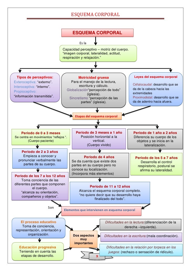 Esquema corporal