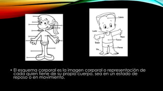 • El esquema corporal es la imagen corporal o representación de
cada quien tiene de su propio cuerpo, sea en un estado de
reposo o en movimiento.