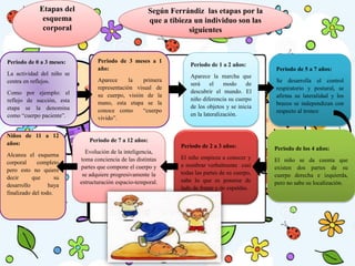 Etapas del
esquema
corporal
Según Ferrándiz las etapas por la
que a tibieza un individuo son las
siguientes
Periodo de 0 a 3 meses:
La actividad del niño se
centra en reflejos.
Como por ejemplo: el
reflejo de succión, esta
etapa se la denomina
como “cuerpo paciente”.
Periodo de 3 meses a 1
año:
Aparece la primera
representación visual de
su cuerpo, visión de la
mano, esta etapa se la
conoce como “cuerpo
vivido”.
Periodo de 1 a 2 años:
Aparece la marcha que
será el modo de
descubrir el mundo. El
niño diferencia su cuerpo
de los objetos y se inicia
en la lateralización.
Periodo de 5 a 7 años:
Se desarrolla el control
respiratorio y postural, se
afirma su lateralidad y los
brazos se independizan con
respecto al tronco
Periodo de los 4 años:
El niño se da cuenta que
existen dos partes de su
cuerpo derecha e izquierda,
pero no sabe su localización.
Periodo de 2 a 3 años:
El niño empieza a conocer y
a nombrar verbalmente casi
todas las partes de su cuerpo,
sabe lo que es ponerse de
lado de frente y de espaldas.
Periodo de 7 a 12 años:
Evolución de la inteligencia,
toma conciencia de las distintas
partes que compone el cuerpo y
se adquiere progresivamente la
estructuración espacio-temporal.
Niños de 11 a 12
años:
Alcanza el esquema
corporal completo
pero esto no quiere
decir que su
desarrollo haya
finalizado del todo.
 