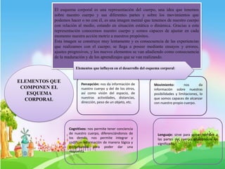 ELEMENTOS QUE
COMPONEN EL
ESQUEMA
CORPORAL
El esquema corporal es una representación del cuerpo, una idea que tenemos
sobre nuestro cuerpo y sus diferentes partes y sobre los movimientos que
podemos hacer o no con él, es una imagen mental que tenemos de nuestro cuerpo
con relación al medio, estando en situación estática o dinámica. Gracias a esta
representación conocemos nuestro cuerpo y somos capaces de ajustar en cada
momento nuestra acción motriz a nuestros propósitos.
Esta imagen se construye muy lentamente y es consecuencia de las experiencias
que realizamos con el cuerpo; se llega a poseer mediante ensayos y errores,
ajustes progresivos, y los nuevos elementos se van añadiendo como consecuencia
de la maduración y de los aprendizajes que se van realizando.
Percepción: nos da información de
nuestro cuerpo y del de los otros,
así como visión del espacio, de
nuestras actividades, distancias,
dirección, peso de un objeto, etc.
Movimiento: nos da
información sobre nuestras
posibilidades y limitaciones, lo
que somos capaces de alcanzar
con nuestro propio cuerpo.
Cognitivos: nos permite tener conciencia
de nuestro cuerpo, diferenciándonos de
los demás, nos permite integrar y
codificar información de manera lógica y
estructurada para poder dar una
respuesta.
Lenguaje: sirve para poner nombre a
las partes del cuerpo añadiéndole un
significado.
Elementos que influyen en el desarrollo del esquema corporal:
 