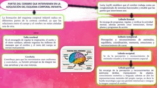 5
PARTES DEL CEREBRO QUE INTERVIENEN EN LA
ADQUSICIÓN DEL ESQUEMA CORPORAL INFANTIL.
La formación del esquema corporal infantil radica en
diferentes partes de la corteza cerebral, ya que las
relaciones entre el cuerpo y el cerebro no están aisladas
una de otra.
Luria (1978) establece que el cerebro trabaja como un
conglomerado de sistemas funcionales y estable que las
partes que intervienen son:
Lóbulo frontal
Se encarga de programar, regular, y verificar la actividad
mental, además permite crear intenciones, formar
planes y programas de acción.
Lóbulo temporal.
Percepción y reconocimiento de estímulos,
equilibrio, coordinación, memoria, emociones y
reconocimiento de caras.
Lóbulo parietal
Se encarga de la percepción y reconocimientos de
estímulos táctiles, manipulación de objetos,
conocimiento numérico y lenguaje; además se dan las
representaciones mentales del propio cuerpo, es decir la
huella neurológica que nos permite interiorizar e integrar
la imagen corporal al cerebro.
Lóbulo occipital.
Se da la percepción y reconocimiento de
estímulos visuales y el reconocimiento espacial.
Tallo cerebral
Es el encargado de regular la respiración, el sueño y
el ritmo cardiaco, además organiza los millones de
mensajes que el cerebro y el resto del cuerpo se
envían mutuamente.
Cerebelo
Contribuye para que los movimientos sean uniformes
y controlados., su función principal es de integrar las
vías sensitivas y las vías motoras.
otros
 