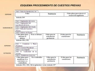 ESQUEMA PROCEDIMIENTO DE CUESTIOS PREVIAS
ESPERAR
SUBSANABLES
ESPERAR
EXTINCION
 
