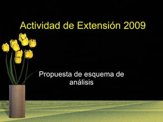 Actividad de Extensión 2009 Propuesta de esquema de análisis 