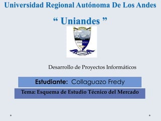 Universidad Regional Autónoma De Los Andes

                “ Uniandes ”



              Desarrollo de Proyectos Informáticos

         Estudiante: Collaguazo Fredy
    Tema: Esquema de Estudio Técnico del Mercado
 