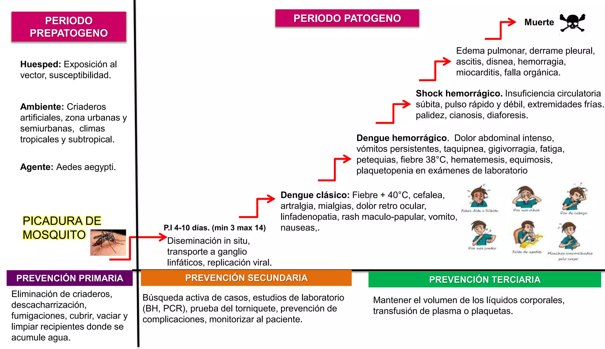 DENGUE/ Esquema de Leavell y Clark | PPTX