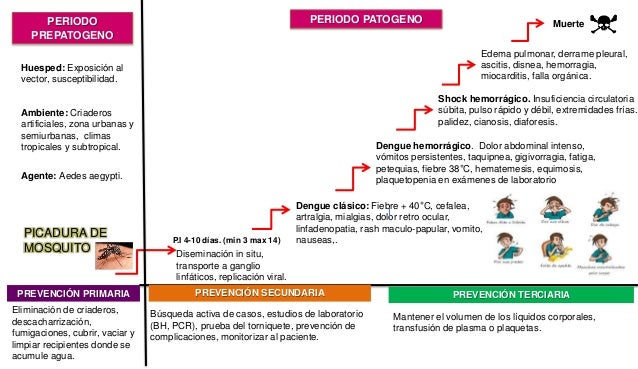 DENGUE/ Esquema de Leavell y Clark