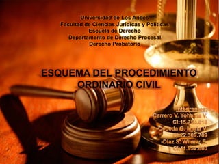 Universidad de Los Andes
Facultad de Ciencias Jurídicas y Políticas
Escuela de Derecho
Departamento de Derecho Procesal
Derecho Probatorio
ESQUEMA DEL PROCEDIMIENTO
ORDINARIO CIVIL
 