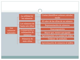 La utilidad de
los números
Contar,identificar,ordenar,calcular,
medir
El valor de las cifras de un número
Los
números
naturales
Los números de
hasta seis cifras
Comparación y
ordenación de
números
Números de
siete cifras
Representación de números
Descomposición
Mayor que, menor que,iguala
Aproximación a la unidad de millar
Órdenes de unidades
Aproximación de números al millón