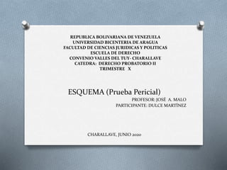 REPUBLICA BOLIVARIANA DE VENEZUELA
UNIVERSIDAD BICENTERIA DE ARAGUA
FACULTAD DE CIENCIAS JURIDICAS Y POLITICAS
ESCUELA DE DERECHO
CONVENIO VALLES DEL TUY- CHARALLAVE
CATEDRA: DERECHO PROBATORIO II
TRIMESTRE X
ESQUEMA (Prueba Pericial)
PROFESOR: JOSÉ A. MALO
PARTICIPANTE: DULCE MARTÍNEZ
CHARALLAVE, JUNIO 2020
 
