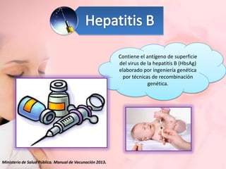 Contiene el antígeno de superficie
del virus de la hepatitis B (HbsAg)
elaborado por ingeniería genética
por técnicas de recombinación
genética.

Ministerio de Salud Pública. Manual de Vacunación 2013.

 