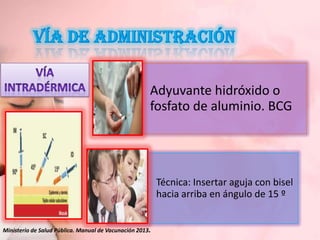 Adyuvante hidróxido o
fosfato de aluminio. BCG

Técnica: Insertar aguja con bisel
hacia arriba en ángulo de 15 º
Ministerio de Salud Pública. Manual de Vacunación 2013.

 