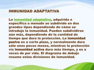 INMUNIDAD ADAPTATIVA
La inmunidad adaptativa, adquirida o
específica a menudo se subdivide en dos
grandes tipos dependiendo de cómo se
introdujo la inmunidad. Pueden subdividirse
aún más, dependiendo de la cantidad de
tiempo que dura la protección. La inmunidad
pasiva es a corto plazo, y normalmente dura
sólo unos pocos meses, mientras la protección
vía inmunidad activa dura más tiempo, y es a
veces de por vida. El diagrama de debajo
resume estas divisiones de inmunidad.
 