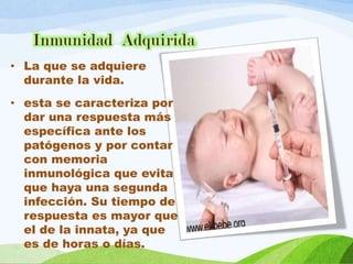 • La que se adquiere
durante la vida.
• esta se caracteriza por
dar una respuesta más
específica ante los
patógenos y por contar
con memoria
inmunológica que evita
que haya una segunda
infección. Su tiempo de
respuesta es mayor que
el de la innata, ya que
es de horas o días.
Inmunidad Adquirida
 