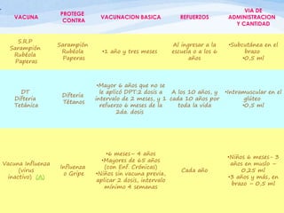 VACUNA
PROTEGE
CONTRA
VACUNACION BASICA REFUERZOS
VIA DE
ADMINISTRACION
Y CANTIDAD
S.R.P
Sarampión
Rubéola
Paperas
Sarampión
Rubéola
Paperas
•1 año y tres meses
Al ingresar a la
escuela o a los 6
años
•Subcutánea en el
brazo
•0,5 ml
DT
Difteria
Tetánica
Difteria
Tétanos
•Mayor 6 años que no se
le aplicó DPT:2 dosis a
intervalo de 2 meses, y 1
refuerzo 6 meses de la
2da. dosis
A los 10 años, y
cada 10 años por
toda la vida
•Intramuscular en el
glúteo
•0,5 ml
Vacuna Influenza
(virus
inactivo) (A)
Influenza
o Gripe
•6 meses– 4 años
•Mayores de 65 años
(con Enf. Crónicas)
•Niños sin vacuna previa,
aplicar 2 dosis, intervalo
mínimo 4 semanas
Cada año
•Niños 6 meses- 3
años en muslo –
0,25 ml
•3 años y más, en
brazo – 0,5 ml
•
 