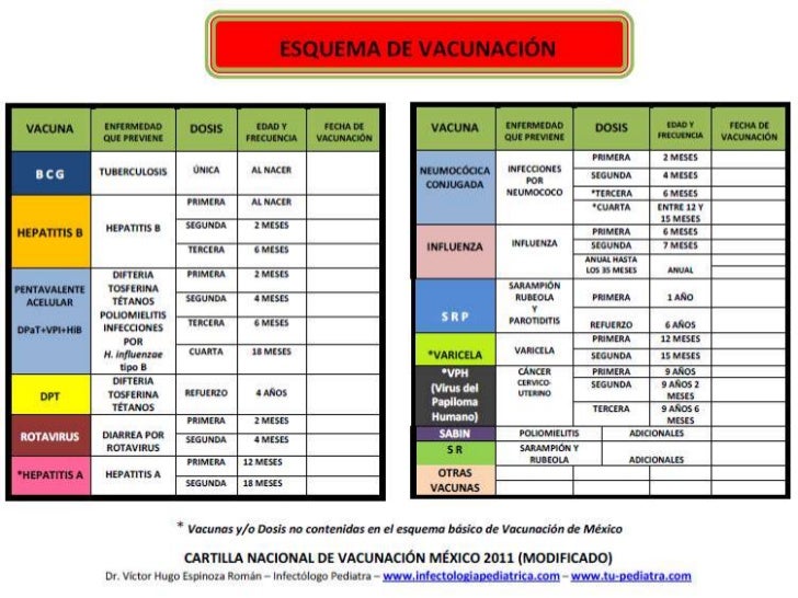 2 20a b 2018 esquema de vacunaci 243 n en m 233 xic 2 20a b 2018 esquema de vacunaci 243 n en m 233 xic