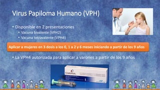 Vph2 Model Esquema de vacunacion 2014 | PPTX