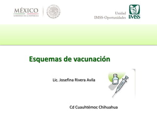 Lic. Josefina Rivera Avila
Esquemas de vacunación
Cd Cuauhtémoc Chihuahua
 