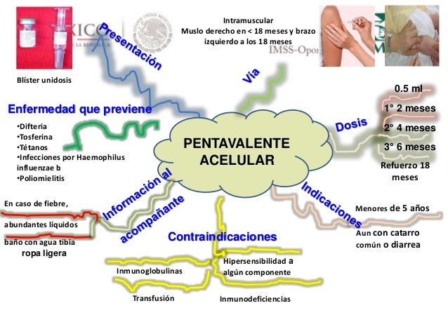 Esquema de vacunacion