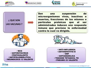 Inmunizacion.epi.zulia@gmail.com
¿ QUE SON
LAS VACUNAS ?
Son una suspensión de
microorganismos vivos, inactivos o
muertos, fracciones de los mismos o
partículas proteicas que al ser
administrados inducen una respuesta
inmune que previene la enfermedad
contra la cual va dirigida.
ANTI-INFLUENZA
ANTIHEPATITIS B
SRP
ANTIAMARILICA
TOXOIDE TETANICO, TD
PNEUMO 23 VALENTE
BCG
ANTIROTAVIRUS
PENTAVALENTE
ANTIPOLIOMIELITICA
NEUMOCOCO 13 VALENTE
 