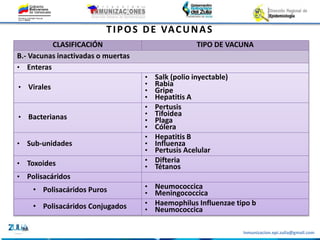 Inmunizacion.epi.zulia@gmail.com
CLASIFICACIÓN TIPO DE VACUNA
B.- Vacunas inactivadas o muertas
• Enteras
• Virales
• Salk (polio inyectable)
• Rabia
• Gripe
• Hepatitis A
• Bacterianas
• Pertusis
• Tifoidea
• Plaga
• Cólera
• Sub-unidades
• Hepatitis B
• Influenza
• Pertusis Acelular
• Toxoides • Difteria
• Tétanos
• Polisacáridos
• Polisacáridos Puros • Neumococcica
• Meningococcica
• Polisacáridos Conjugados • Haemophilus Influenzae tipo b
• Neumococcica
TIPOS DE VACUNAS
 